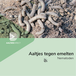 Aaltjes tegen emelten (Steinernema feltiae)