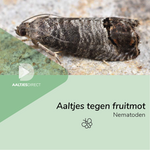 Aaltjes tegen fruitmot (Steinernema carpocapsae)
