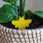 5 Deco mini vangplaatjes tegen (rouw)vliegjes